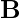 \mathbf{B}