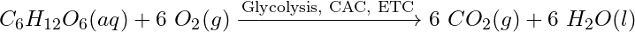 C_6H_{12}O_6(aq) + 6\ O_2(g) \xrightarrow{\text{Glycolysis, CAC, ETC}} 6\ CO_2(g) + 6\ H_2O(l)