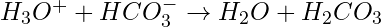 H_3O^+ + HCO_3^- \rightarrow H_2O + H_2CO_3