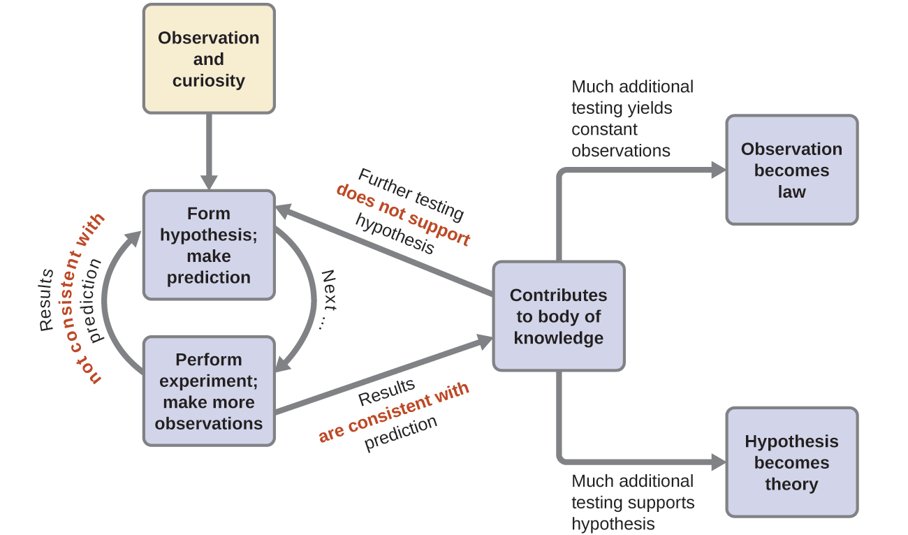 The image of the scientific method